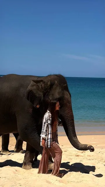 Elephant beach, Samet Nangshe viewpoint and Mantra Spa — photo 4