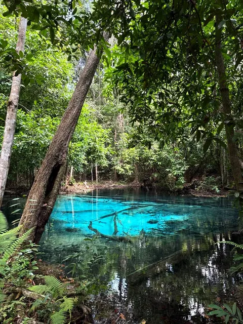 Secrets of Krabi: hot springs, jungle lakes and the Tiger Cave temple — photo 6